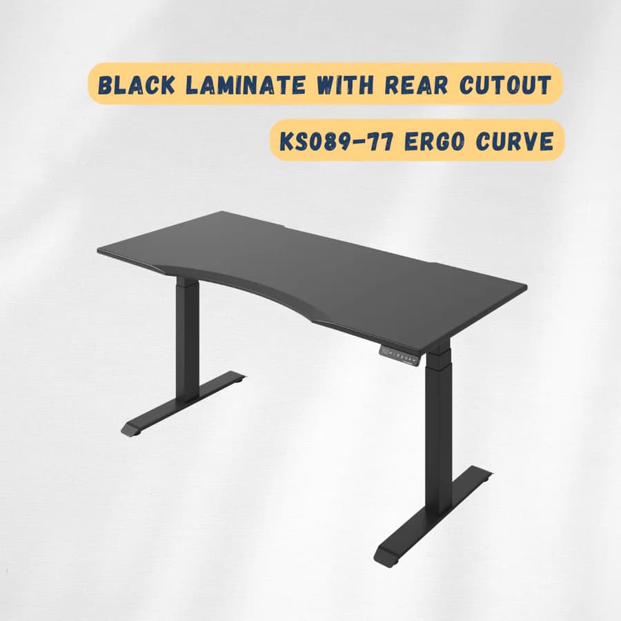 Adaptable BL Rear Ergonomic Chair (Mesh, Lumbar+)